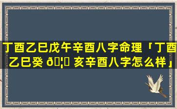 丁酉乙巳戊午辛酉八字命理「丁酉乙巳癸 🦆 亥辛酉八字怎么样」